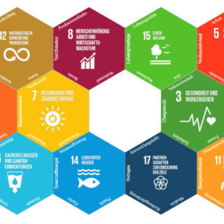 Digitale Tools: Wirkel, SDG-Glücksrad und SDG-Domino