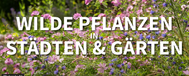 Wilde Pflanzen in Städten und Gärten