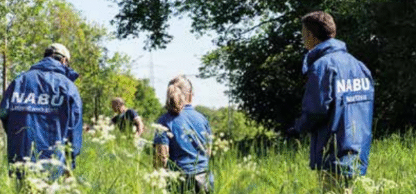 NABU Naturführer 2026