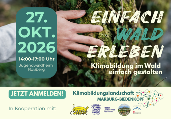Homepage_Waldfobi_Kita (3)